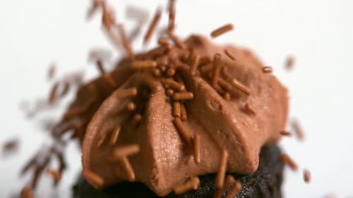 Chocolate Cupcake Topped With Sprinkles Close Up