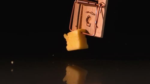 Mousetrap with Cheese Lures Rodents into Danger
