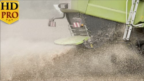 A Green Wheat Harvester Truck on the Field