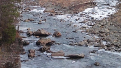 El río de montaña corre rápidamente