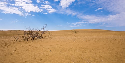 Desert