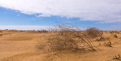Desert 4