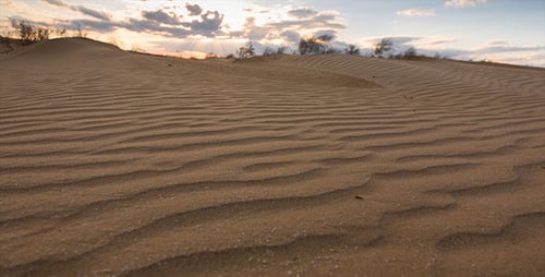 Desert 5