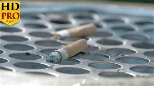 Closer View of the Cigarette Butt on the Bin