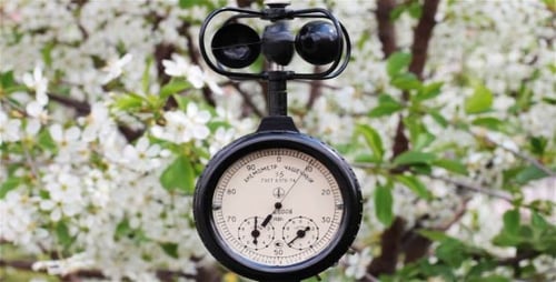 Anemometer Measures Wind Speed Amongst Blossoming Flowers