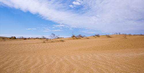 Desert 6