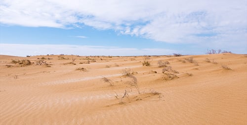 Desert 8