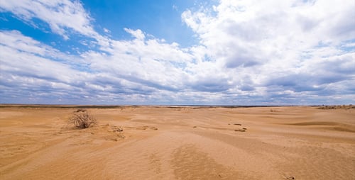 Desert 8