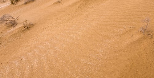 Desert 9