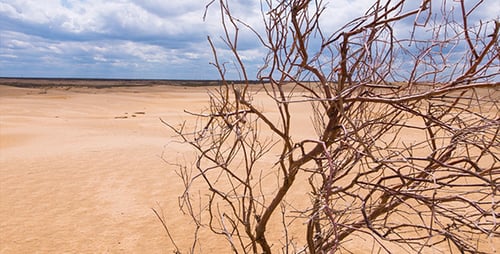 Desert 10