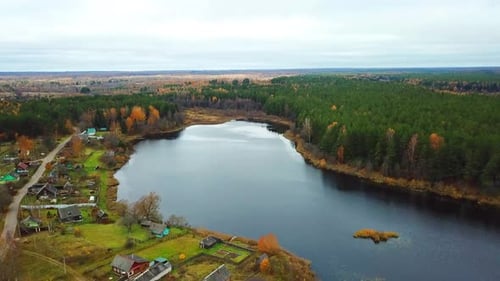 Autumn In The Forest 36