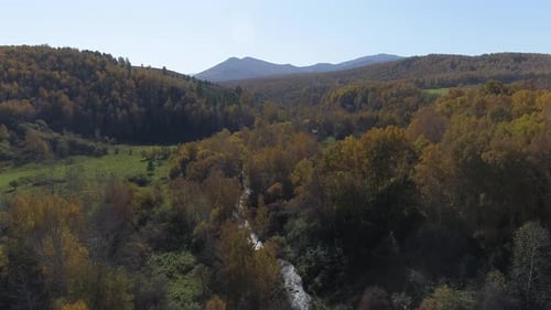 Flying over Autumn Forest