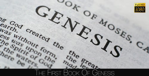 The First Book Of Genesis