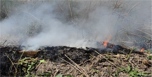 Fire 7