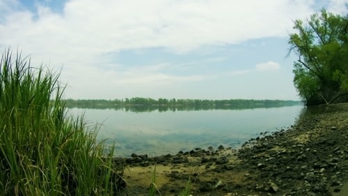 The Shore Of The River, Clouds, Reeds, Waves And