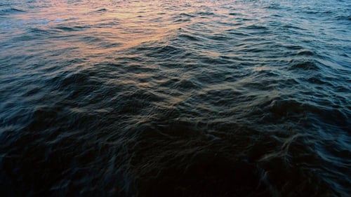 Ocean