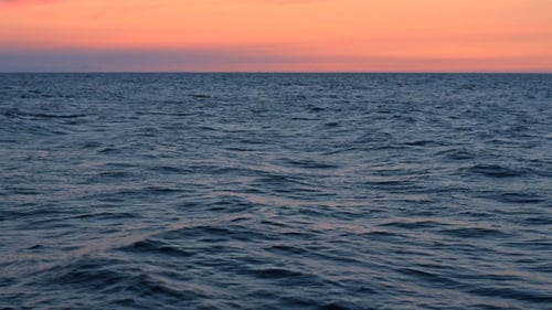 Ocean