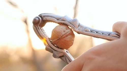 Cracking a Walnut with a Nutcracker