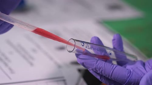 Gloved Hand Pipetting Red Fluid into Test Tube