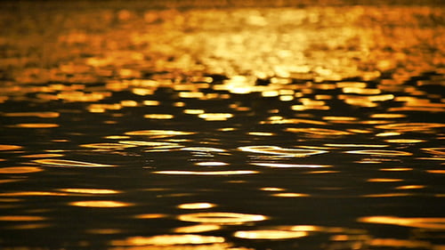 Golden Reflection on the Sea Waves 03