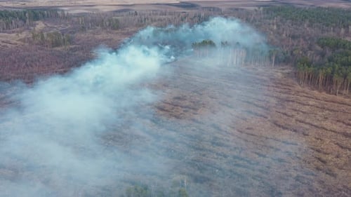 Aerial View, Spring Dry Grass Burns During Drought Hot Weather, Bush Fire And Smoke In Meadow Field