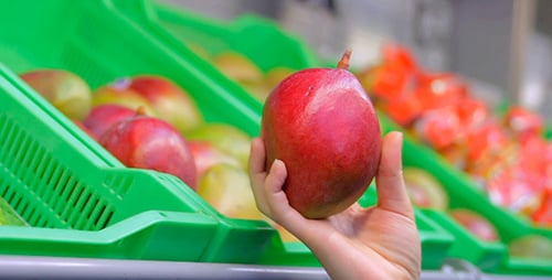 Hand Choosing Fresh Mango in Grocery Store
