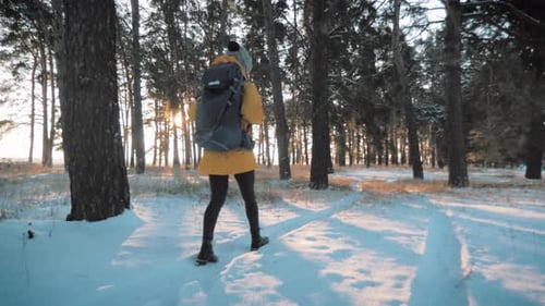 A Young Caucasian Girl with Backpack Going on Winter Forest Road in Snow Covered Winter Pine Forest