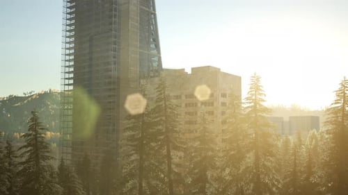 Parque, bosque y rascacielos al atardecer