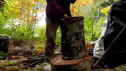 Closeup chopping firewood in a rainforest in BC with an axe.