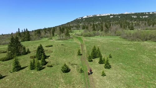 Man and Dog Walk Mountain Path on Sunny Day