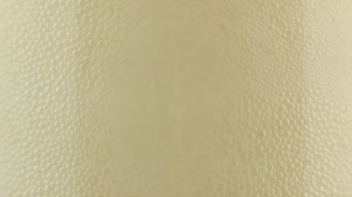 Beer Bubbles