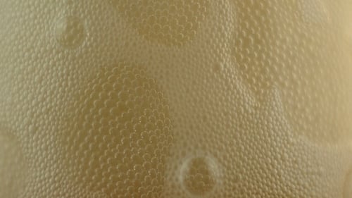Refreshing Beer Pouring Into a Glass Close-Up