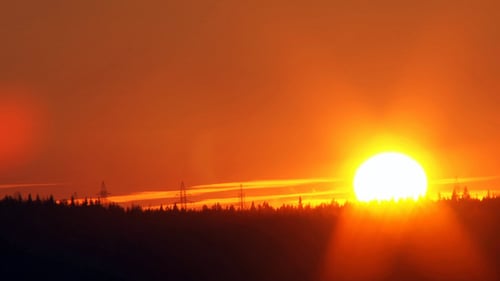 Sunset Over the Forest
