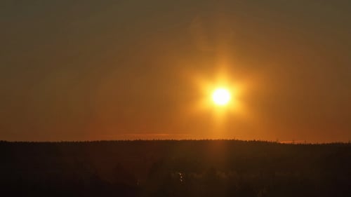 Beautiful Sunset Over Forest Horizon