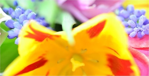 Vibrant Spring Flowers in a Colorful Bouquet