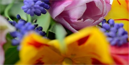 Pink, Yellow, and Blue Spring Floral Bouquet