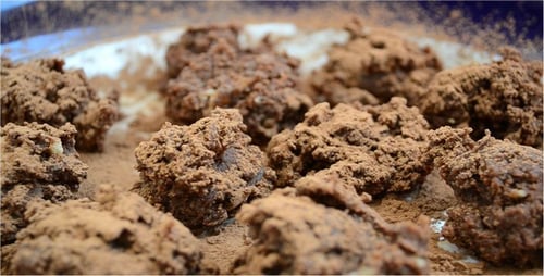Truffle 2
