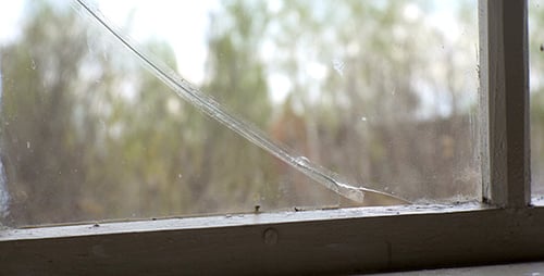 Close Up of a Broken Glass Window
