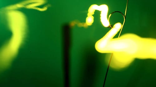 Macro Glowing Bulb on Green Screen