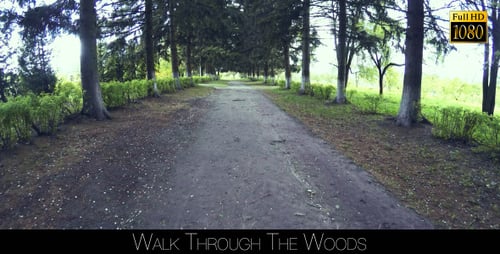 Camina por el bosque 7