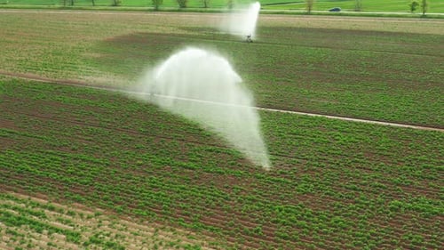 Aerial Footage of Automatic Irrigation Sprinkle Watering System in the Agriculture Field
