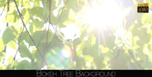 Bokeh-Baum-Hintergrund 13