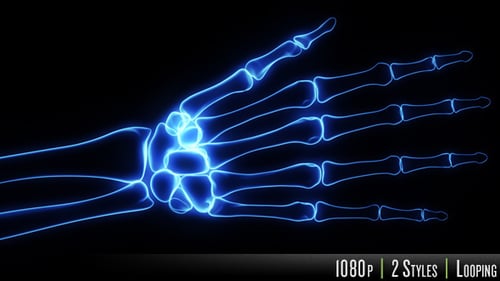 Animated Human Hand Skeleton with Two X-Ray Styles