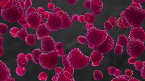 Vibrant Red Raspberries Floating Seamless Loop