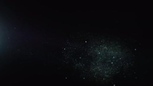 Organic Dust 13