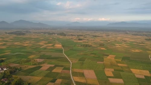 Rural Aerial View