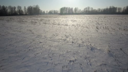 Winterpark im Schnee. Verschneites Feld und blauer Himmel.