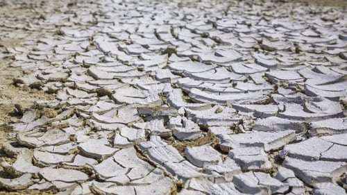 Feet Of Researcher Walking On Cracked Desert Earth