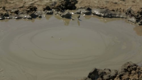 Exploding Mud Volcano