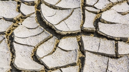 Dry Cracked Earth in Desert Environment